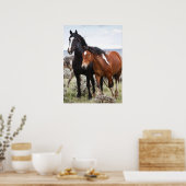 Kudde Wilde Paarden Poster (Keuken)