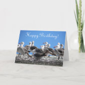 kudde zeegarens Foto van de hele dag Kaart (Voorkant)