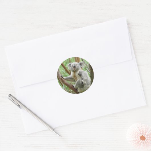 Kuddly Koala Stickers (Envelop)