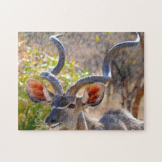 Kudu Botswana. Legpuzzel (Horizontaal)