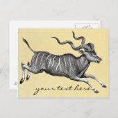  Kudu Briefkaart (Voorkant / Achterkant)
