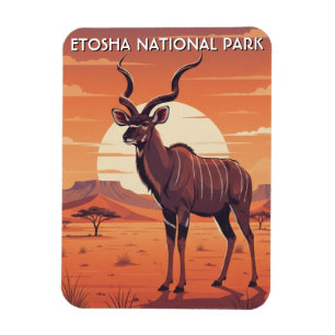 Kudu in Nationaal Park Etosha Namibië Reizen Magneet