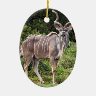 Kudu. Keramisch Ornament