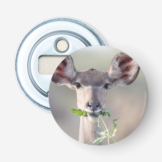 Kudu portret button flesopener (Voorkant)