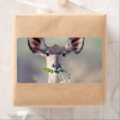 Kudu portret etiket (Insitu)