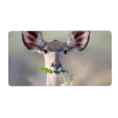 Kudu portret etiket (Voorkant)
