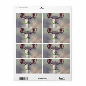Kudu portret etiket (Full Sheet)