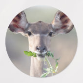 Kudu portret labels (Design 1)