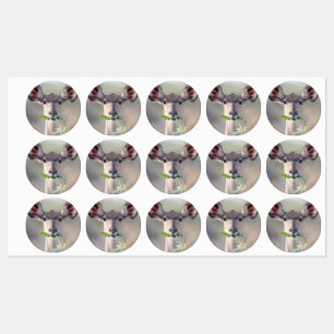 Kudu portret labels