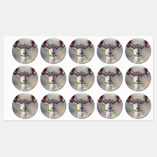 Kudu portret labels (Vel)