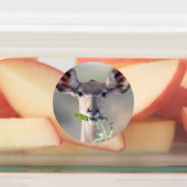 Kudu portret labels (Aangebracht)