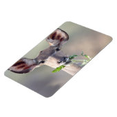 Kudu portret magneet (Linkerzijde)