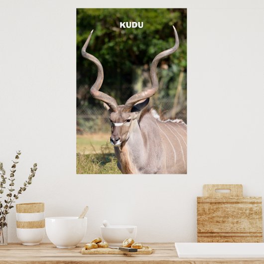Kudu Poster (Keuken)