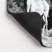 Kudu-stier en -koe in zwart-wit - Mousepad Muismat (Hoek)