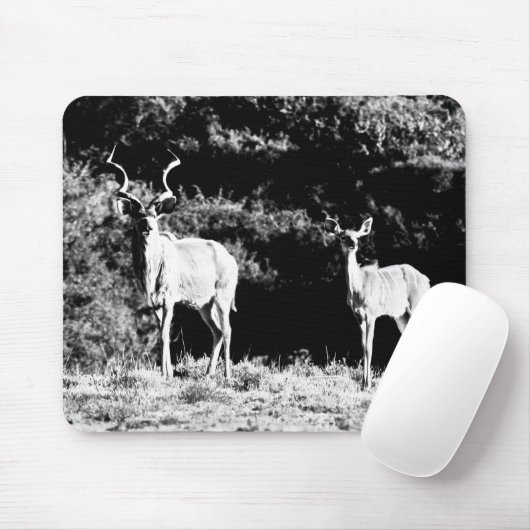 Kudu-stier en -koe in zwart-wit - Mousepad Muismat (Met muis)