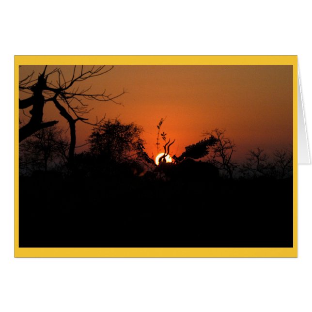Kudu Sunset (Voorkant Horizontaal)