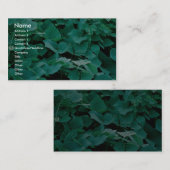 Kudzu Visitekaartje (Voorkant / Achterkant)