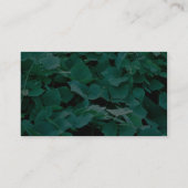 Kudzu Visitekaartje (Achterkant)