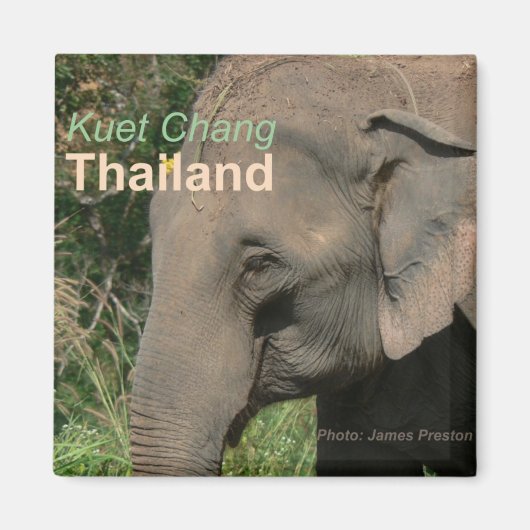 Kuet Chang Thailand Olifant Koelkast Magneten (Voorkant)