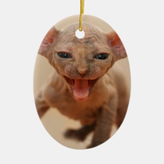 Kuffelkeuk met tong uit keramisch ornament (Voorkant)