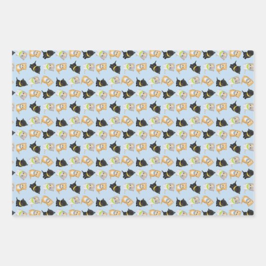 Kuffettenpakpapier Inpakpapier Vel (Voorkant)