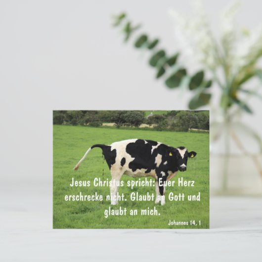 Kuh Briefkaart (Staand voorkant)