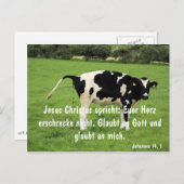 Kuh Briefkaart (Voorkant / Achterkant)