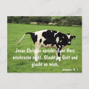 Kuh Briefkaart
