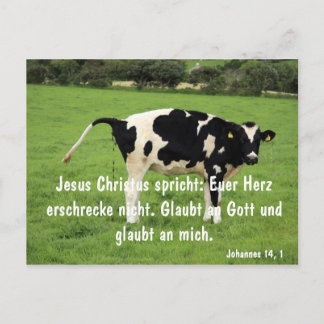 Kuh Briefkaart