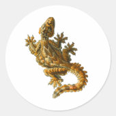 Kuhl's Flying Gecko Ronde Sticker (Voorkant)