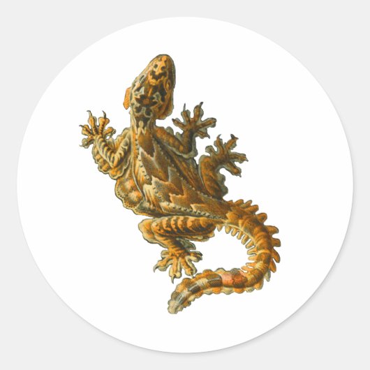 Kuhl's Flying Gecko Ronde Sticker (Voorkant)