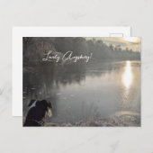 Kuhsee am Morgen mit Hund in Augsburg Briefkaart (Voorkant / Achterkant)