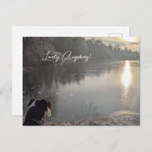 Kuhsee am Morgen mit Hund in Augsburg Briefkaart (Voorkant / Achterkant)