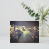 Kuhstall Briefkaart (Staand voorkant)