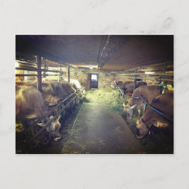 Kuhstall Briefkaart