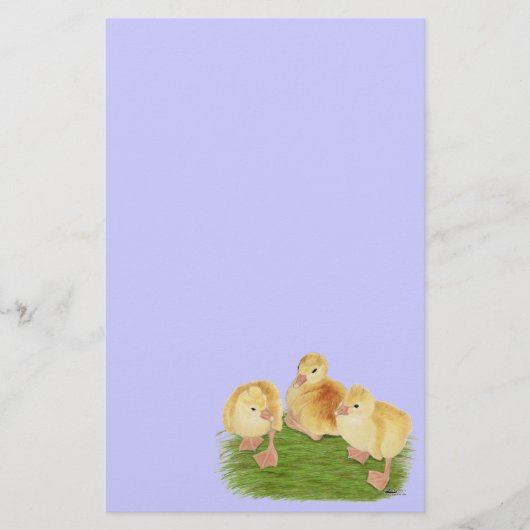 Kuif Buff ganzenjongen Briefpapier (Voorkant)