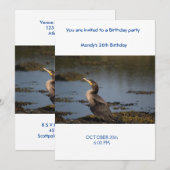 Kuifaalscholver Kaart (Voorkant / Achterkant)