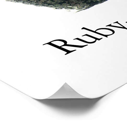 Kuifbrij, John Audubon Poster (Hoek)