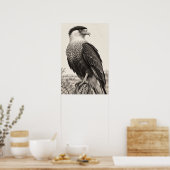 Kuifcaracara in Zuid-Texas Graphiet Poster (Keuken)