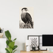 Kuifcaracara in Zuid-Texas Graphiet Poster (Thuiskantoor)