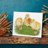 Kuifende Buff ganzenkuikens Fotoplaat (Zijkant)