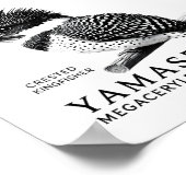 Kuifijsvogel Zwart & Wit Kunstprint Poster (Hoek)