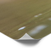 Kuifmees, Baeolophus Poster (Hoek)