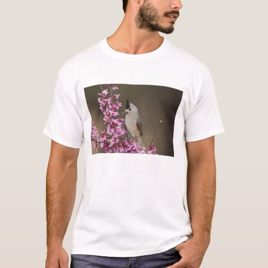 Kuifmees, Baeolophus T-shirt (Voorkant)