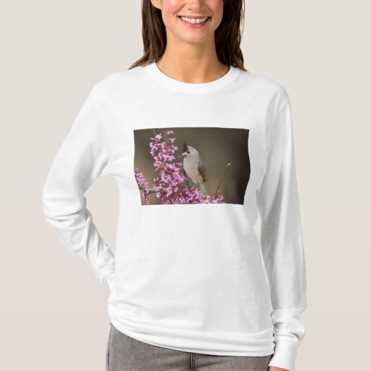 Kuifmees, Baeolophus T-shirt (Voorkant)