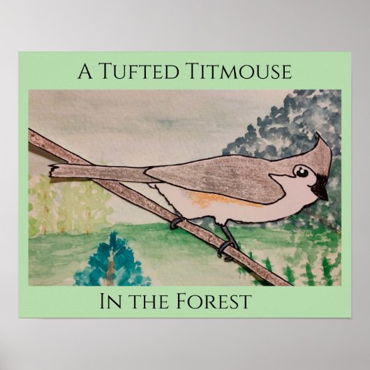 Kuifmees in het bos poster (Voorkant)
