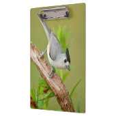 Kuifmees Klembord (Links)