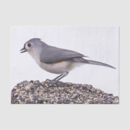 Kuifmees op vogelzaad tissuepapier