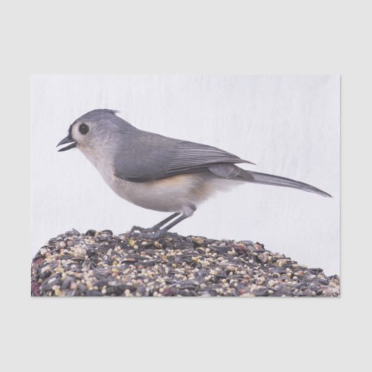 Kuifmees op vogelzaad tissuepapier (Voorkant)