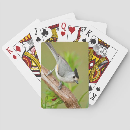 Kuifmees Pokerkaarten (Achterkant)